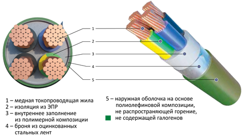  NFK PLAGUM BH /  ̮ ()-HF   +