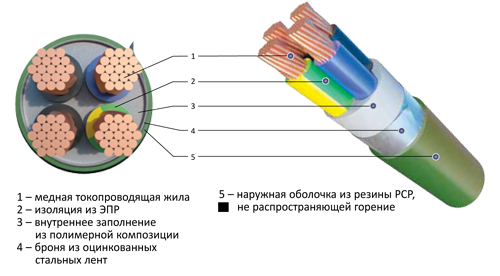  NFK PLAGUM B PCP /  ̮ ()-   +