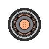  2XS(F)YB2Y, A2XS(F)YB2Y, 2XS(F)YR2Y, A2XS(F)YR2Y, 2XS(F)YRG2Y, A2XS(F)YRG2Y /, , , , ,   